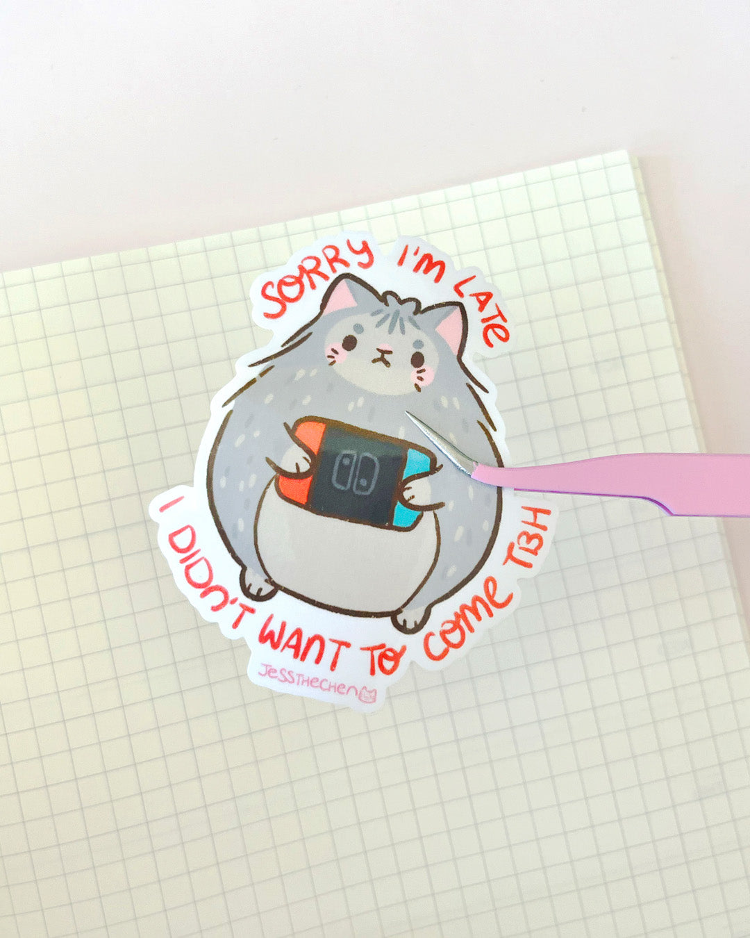 Cat with Switch, Sorry I'm late