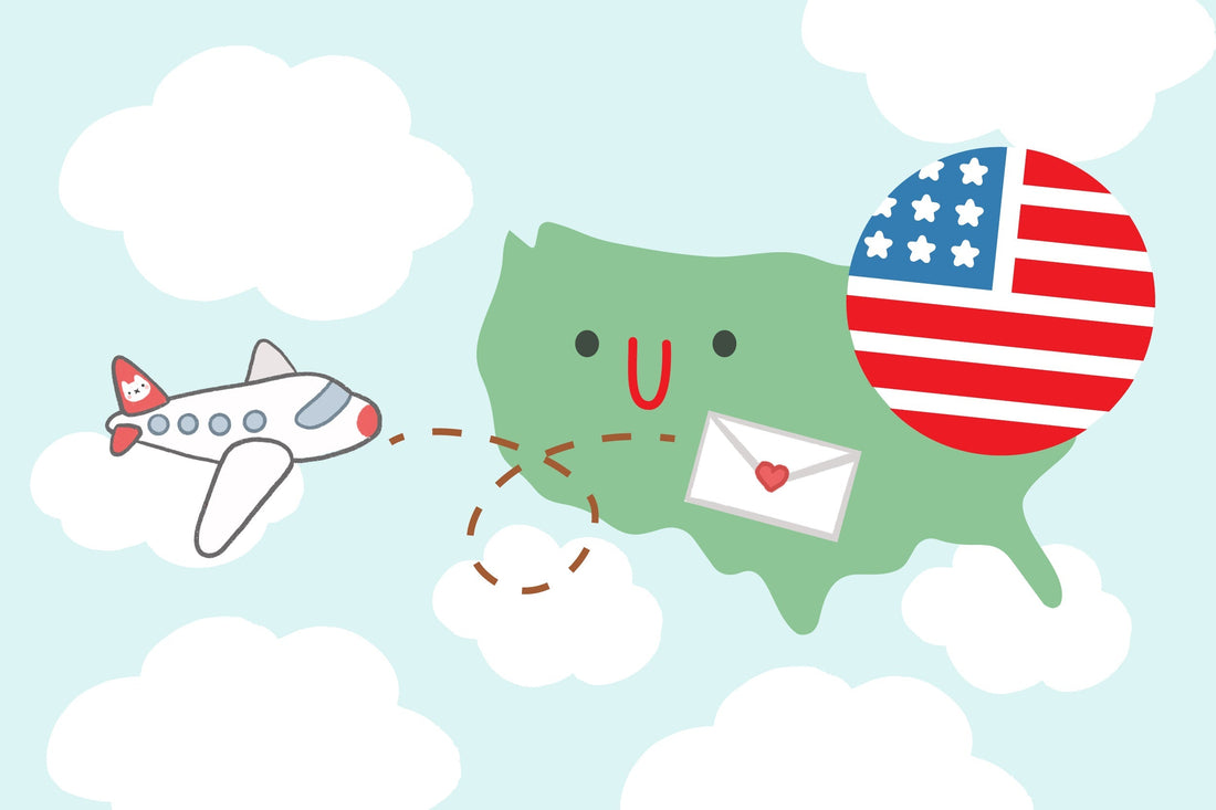 Shipping to USA – NOW OPEN!